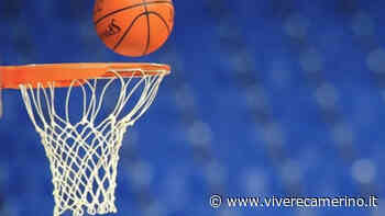 Positivi al Covid nella Vigor Basket Matelica: rinviata la partita con Pisaurum - Vivere Camerino