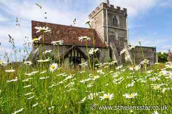People urged to join summer nature count in churchyards - St Helens Star