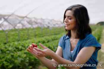 M&S Food plans barrage of 73 ads over four months