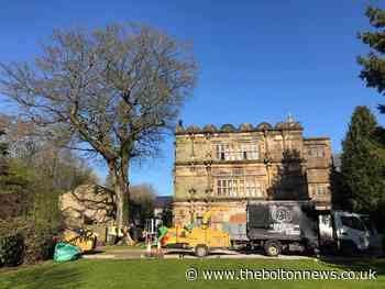 Lostock Hall Gatehouse: Beech tree chopped due to root decay