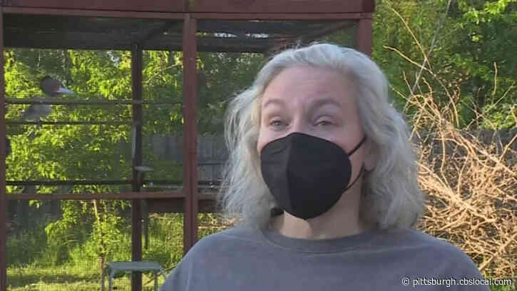 ‘Could Kill Me’: Sacramento Wildlife Rescuer Faces Devastating Diagnosis From Caring For Birds