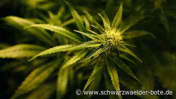 Drogen in Tübingen: Marihuana bei 53-Jährigem und 60-Jähriger im Keller gefunden