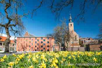 Mechelen roept inwoners op om grootste bloemenweide van Benelux te maken