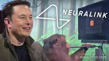 Elon Musk's A.I. Company Shows Monkey Playing 'Pong' with His Mind