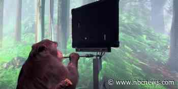 Elon Musk's Neuralink teases brain-computer tech in new video