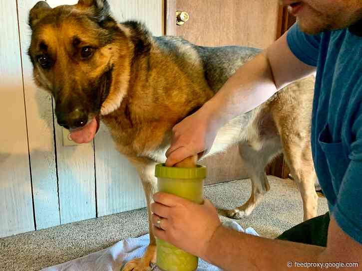 I clean my dog's paws with this simple, easy-to-use product - it's made the process less stressful for me and my dog