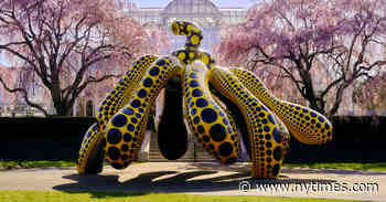 Yayoi Kusama’s ‘Cosmic Nature’ Dots a Bronx Garden