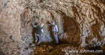 Are You Confused by Scientific Jargon? So Are Scientists