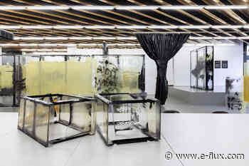 Dislocated Display Drama - Architecture - E-Flux