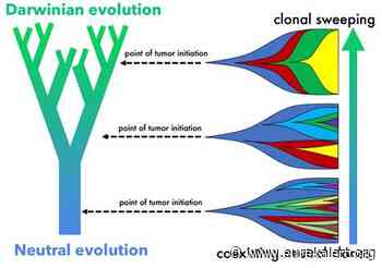 Moffitt researchers demonstrate tissue architecture regulates tumor evolution - EurekAlert
