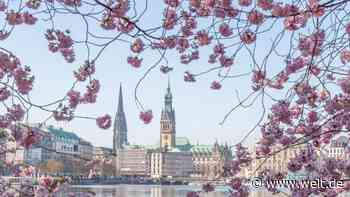 Smarte Städte Hamburg, München und Köln - DIE WELT