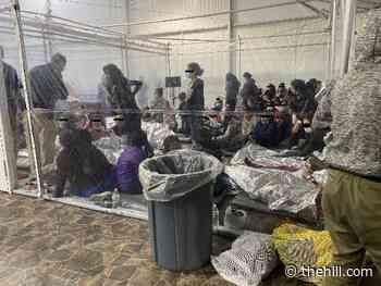 US mulling cash payment to help curb migration