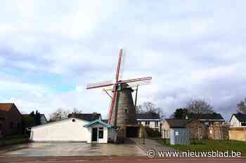Vanaf nu kan je trouwen in Zorgvlietmolen van Molenbeersel