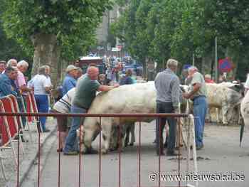 Geen meikermis en Rode Duivels op groot scherm, wél viering Nationale Feestdag en jaarmarkt