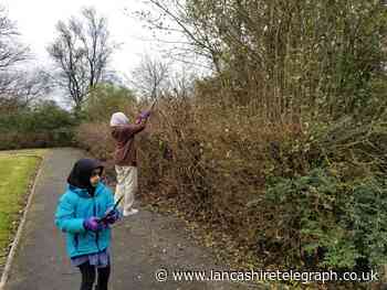 Plans growing for new park garden in Blackburn