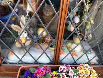 Can you create town's best spring window display to raise money for Bolton Hospice