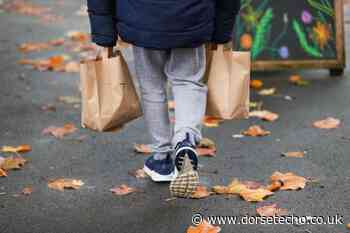 Dorset food projects boosted by extra funding - Dorset Echo