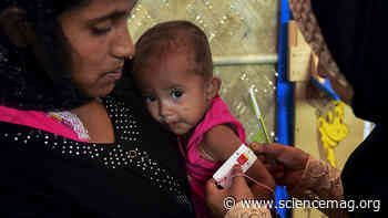 Food supplements that alter gut bacteria could 'cure' malnutrition - Science Magazine