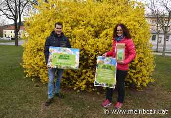 Ternitz sät: "Ein Sonntag für die Blühwiese" - meinbezirk.at