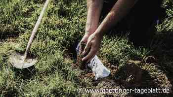 Bodenanalyse: Schweizer vergraben 2000 Baumwollunterhosen