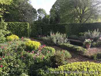 Five Hertfordshire gardens opening to public this month