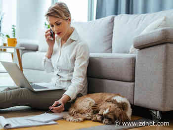 They're working from home. Their religious beliefs are no longer respected