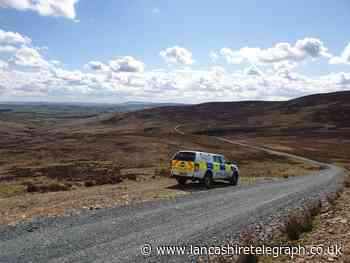 Ribble Valley: Warning that off-road bikers could be driving rare birds away from Salter Fell