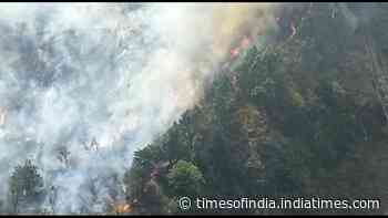 Watch: Forest fire breaks out in Kempty area of Uttarakhand