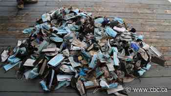 In one week, a New Brunswick woman collected nearly 600 littered masks