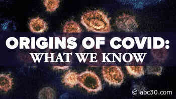 COVID-19 origins: What to know about the search for the start of the virus