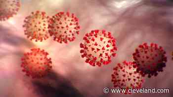 Ohio reports 2,048 new coronavirus cases: Saturday update - cleveland.com