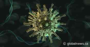 Coronavirus: possible variant exposure in Winnipeg, 135 new cases of COVID-19 in Manitoba Saturday - Global News