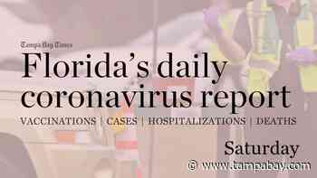 Florida adds 6,906 coronavirus cases, 50 deaths Saturday - Tampa Bay Times
