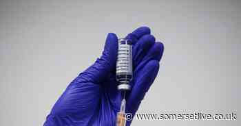 Somerset area-by-area coronavirus breakdown as one more death is recorded - Somerset Live