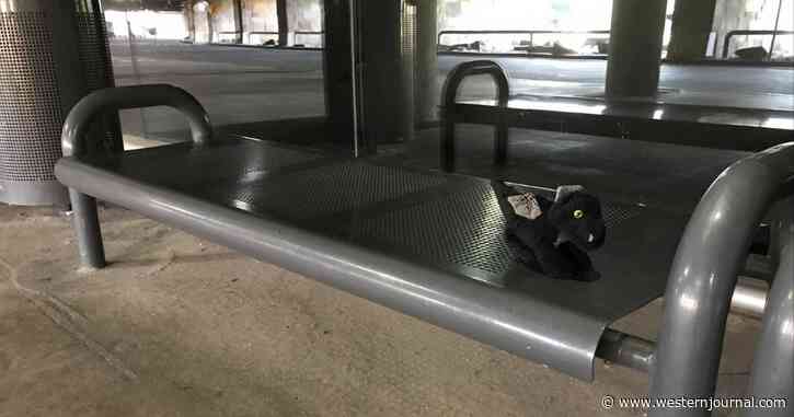 Workers Discover Stuffed Toy Left at Airport, Document Its Travels Around the Building