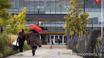 Gender pay gap among PhDs has closed, but big gaps remain for other grads: Study - BNNBloomberg.ca