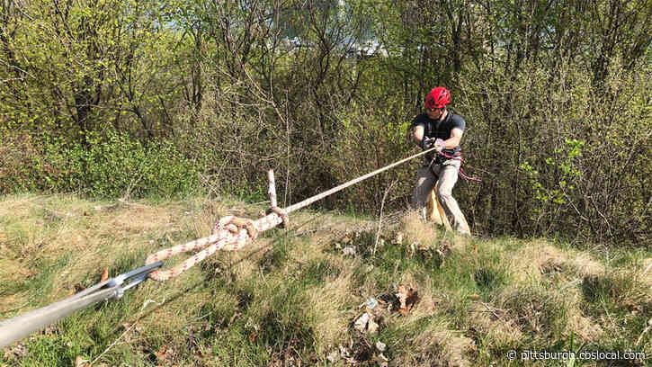 Rock Climbers Gather On Mt. Washington For 28th Annual Emerald View Park Cleanup