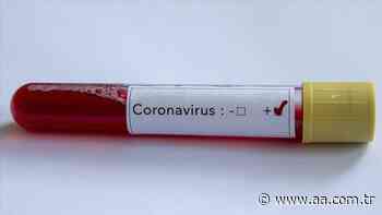 Pakistan registers 114 coronavirus deaths - Anadolu Agency