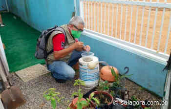 Chega a 35 o número de focos do Aedes aegypti em Imbituba - Sul. Agora