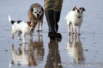 Patel accused of not taking pet theft seriously - Barrhead News