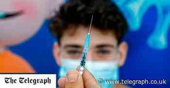 Coronavirus latest news: South Africa variant can 'break through' Pfizer's vaccine - Telegraph.co.uk