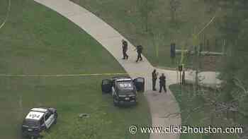 Skeletal remains discovered in east Houston field, police say - KPRC Click2Houston