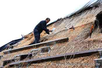Trägervereinsvorsitzender: "Mussten alles auf Abruf organisieren" - Steinen - Badische Zeitung