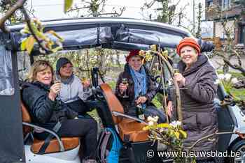 Kletsnat bloesemweekend: “We genieten, zelfs in de regen”