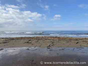 Ardea, la nostra inchiesta: 3 stabilimenti su 4 non sono in regola - Il Corriere della Città