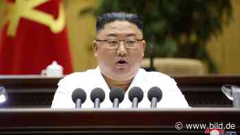 Kim Jong-un lässt Staatssekretär für Bildung hinrichten - BILD