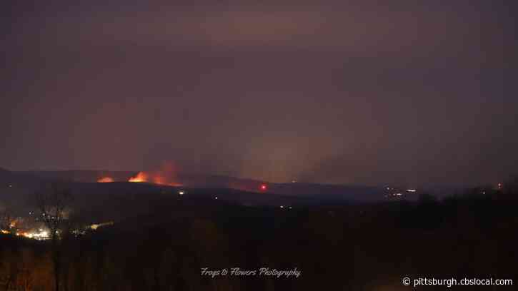 Dry Weather, Strong Winds Blamed For Fueling Forest Fires At Ohiopyle State Park; Initial Cause Still Unknown