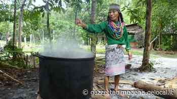 Modena. Hanno litri di ayahuasca, la droga degli sciamani. Liberi, non è vietata - La Gazzetta di Modena