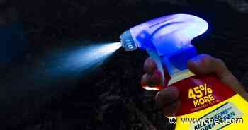 New CDC COVID cleaning guidelines: How to disinfect and sanitize your home     - CNET