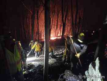 Ohiopyle State Park returning to 'normal' after nearly 500-acre forest fires - TribLIVE